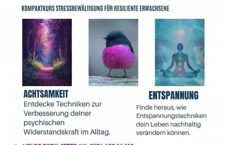 27.02.2026 Start neuer Kompaktkurs Stressbewältigung in Kassel